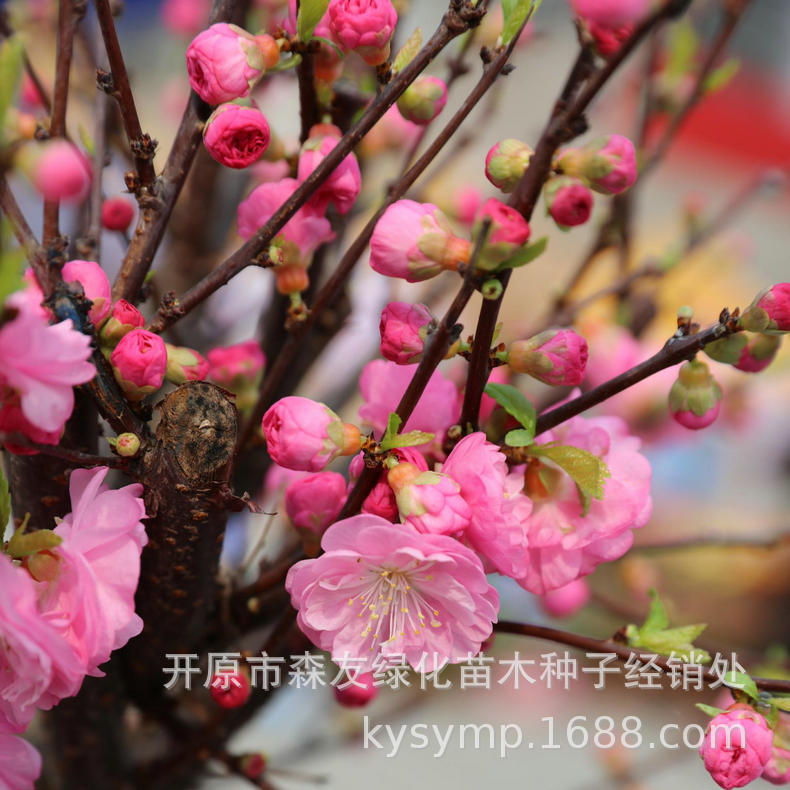 微信图片_20210507122932