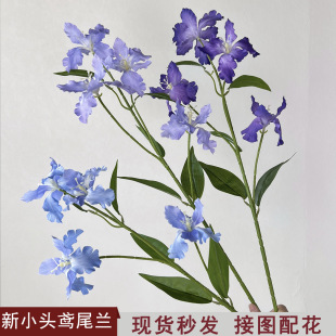 �¿�����Sβ�m����Y�ò廨�Ҿ�ܛ�b��픻��ű����廨���l