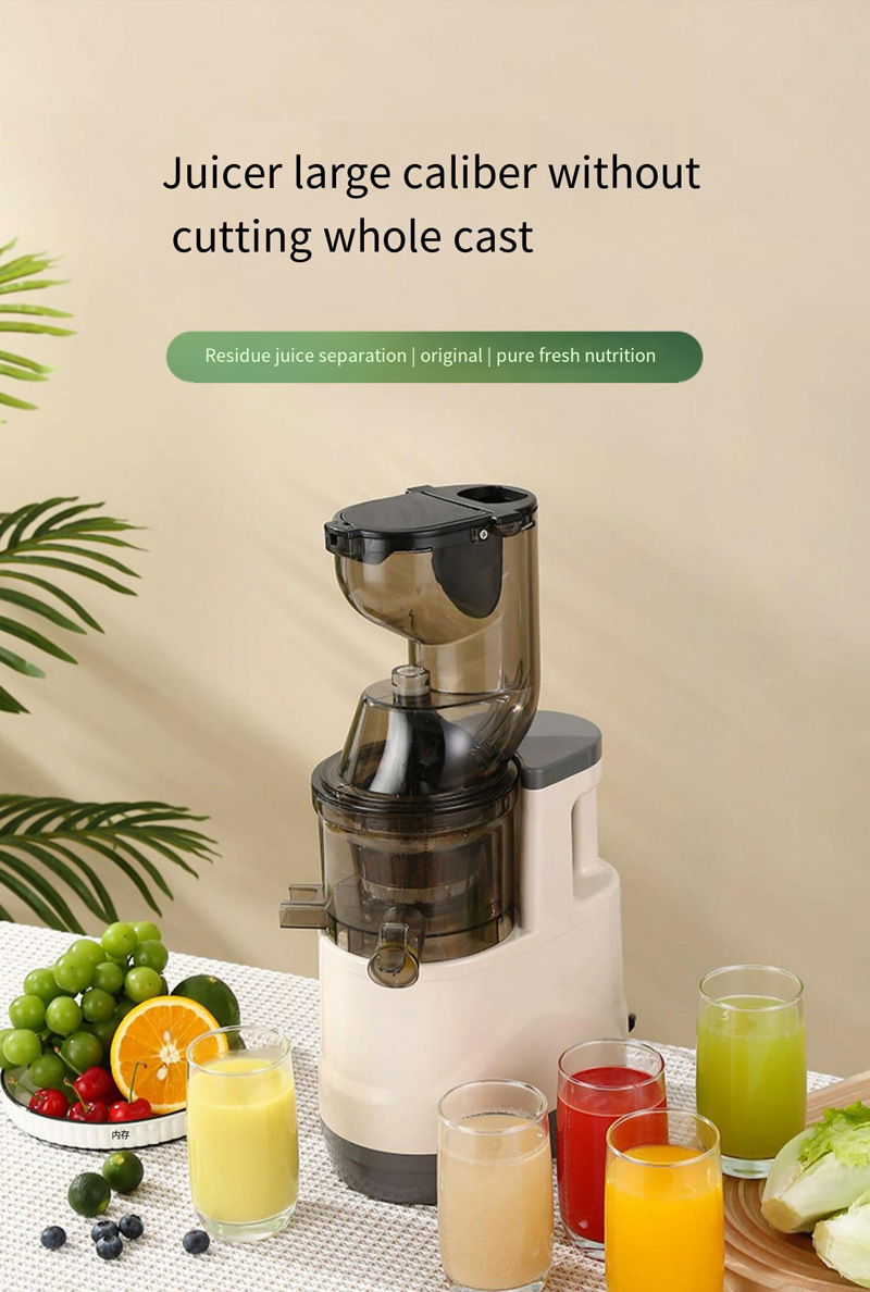 Juicer Image 1