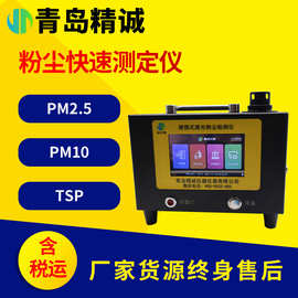 可吸入颗粒物PM10激光粉尘快速检测仪 空气粉尘浓度PM2.5测定仪