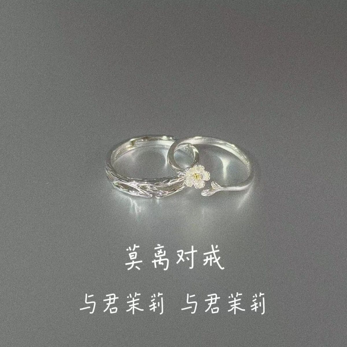 Mo Li Couple Ring Niche High-End Design Plain Ring Opening Adjustment Pair Ring Girlfriend Gift