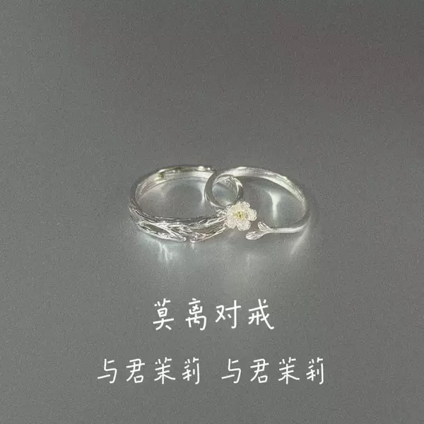 Mo Li Couple Ring Niche High-End Design Plain Ring Opening Adjustment Pair Ring Girlfriend Gift