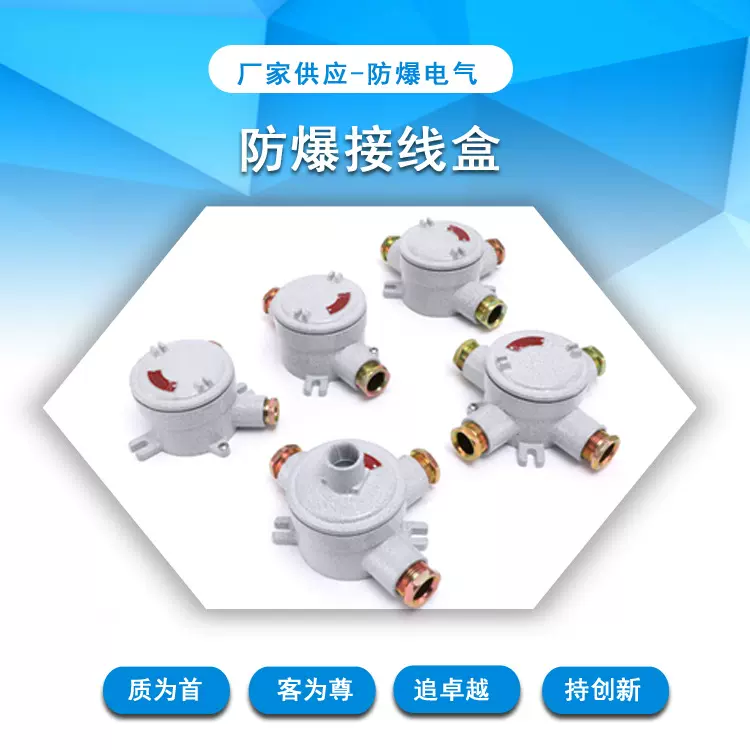 铸钢防爆接线盒IICNPT螺纹防腐WF2圆形端子盒防护防爆认证防水