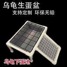 ��̨�����µ���ˮ���a����ɳ��ĸ���µ��������ɳ�P���B�䷱ֳ��