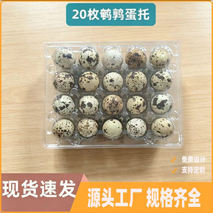 һ�����g�������b��20���b�g����������PET͸���p���������ܹ���