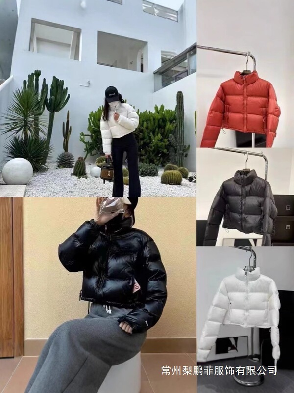 Putian Pure Original North Face Kendall down Jacket for Women, 700 Fill Power White Duck Down, 84 Styles, High-Waisted Short down Jacket Wholesale