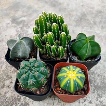 ������p����M���ײ��������Ƕ��͏d��X���ԾGֲ�������̺��B��