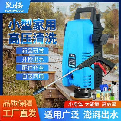 Portable car washer – string excitation