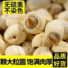 正宗福建建宁莲子原产地直销空心莲子大颗500g克结婚用的莲子