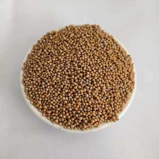 �׽�����ș����ș�����l�׽��������ӽ���������ѸɃ��o�s