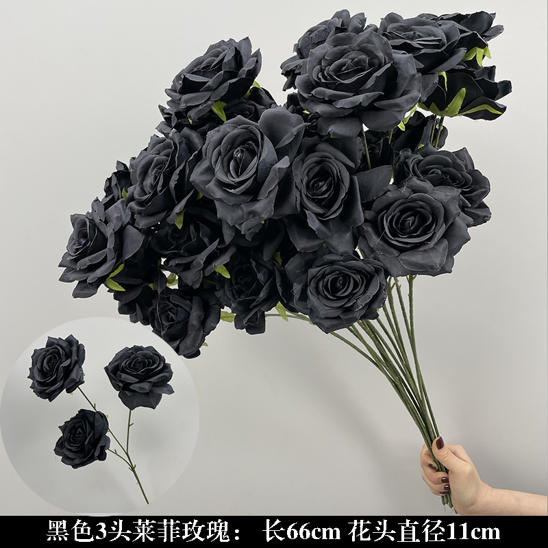 브라운 블랙 3헤드 라피트 로즈