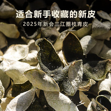 当年广东新会新陈皮 2025年三江深吕圈枝柑青皮 生晒老树青橘皮