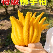 ���ָ�ˮ��ֲ���r���������^�p�[���҃�ˮ�B�Gֲ���r������ʳ��