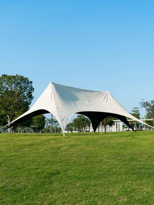 New 3.2m high-quality black vinyl canopy tent for outdoor camping, one-piece, quick setup, rainproof, can be customized with logo