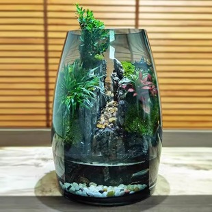 Yixiantian Moss Micro Landscape Office DIY Desktop Ornaments Gift Creative Landscaping Ecological Bottle Green Plant Potted Plant