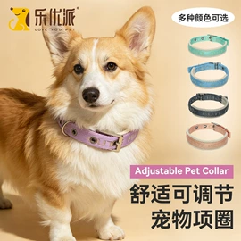 猫猫包、箱;猫猫玩具;猫厕所