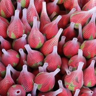 ���տ�ֱ�������l�t�r�����fͬ��õ�廨�r��õ�廨���������