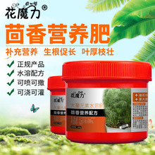 ���㌣�àI�B�ʸ��С�����辰����ͥԺС�ˈ@�����̨�ļ��B�o��