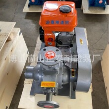 汽油机带动液化气泵外贸需求款叶片泵丙烷泵液氨泵LPG泵卸槽车泵
