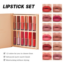 跨境唇彩套装珠光12色MATTE LIP GLOSS防水不粘杯哑光口红唇釉