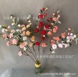 �¿��¼��� ɽ�軨�Ƶ�ҾӲ����[���b��Nޱ���羳���Q�S�����l