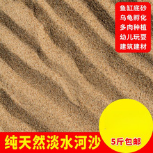 河沙细沙多肉种植种花沙子乌龟冬眠沙鱼缸沙建筑沙水族造景供应厂