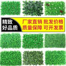 ����ֲ��Gֲ������ ���m���ϼٲ�ƺ�T�^�҃��b�ֲ�ﻨ����ƺ