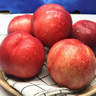 ���������������g���������r���Ӯ����ЋDˮ��3��5��F؛���]