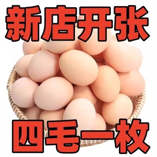 �r��ɢ�B���u��40ö����ɭ�ְ��]���r���u�����ﱿ�u������1