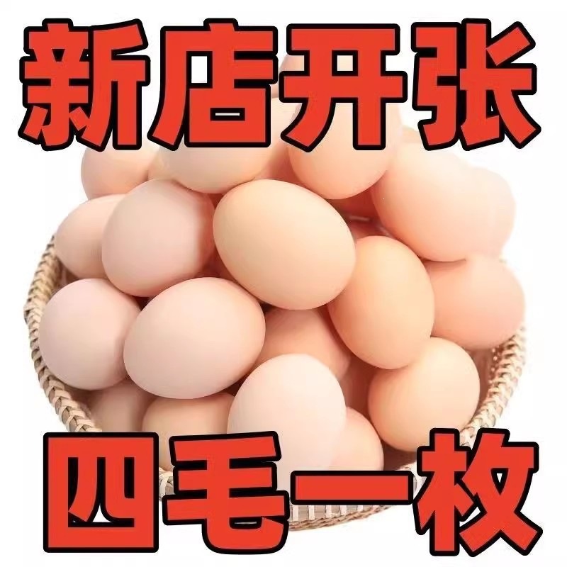 40 Free-Range Farm Eggs, Whole Box, Fresh Grass-Fed Eggs, Free Shipping, Grain-Fed Eggs, Postpartum Eggs 1