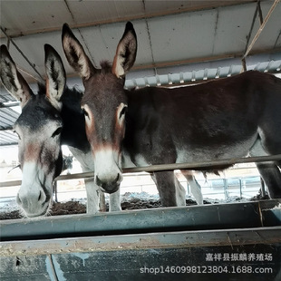 ���۵����H���H�� ��Ʒ�H  �F��С�H�x ʲôƷ�N���H�L�ݿ�