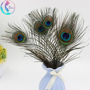 �S��ֱ�N25-30cm��Ȼ��ȸë���۾���ë�廨diy�Ʒ���l��ȸ��ë