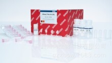 QIAGEN 74104 RNeasy Mini Kit ��ϸ������֯���ĸ�п��ٴ���RNA
