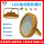 系列防爆应急20w50w100w防爆灯