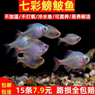 ���w���Q�~�߲��^�p�~��ˮ��ˮ���B�ͻ��~�׌���ɽ��ԭ���~����