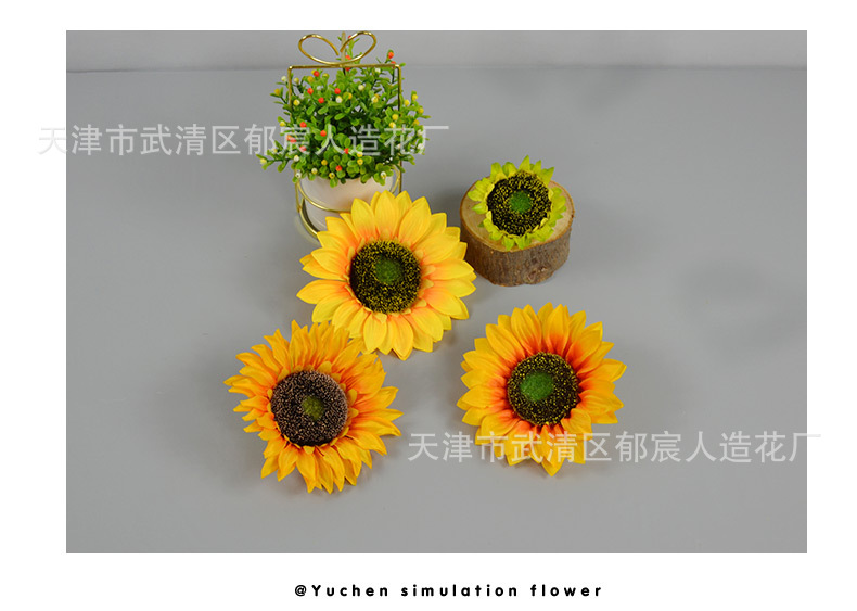 向日葵花朵_12.jpg