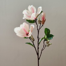 �ŵ����m�����滨�����͏d��Y�b����m�仨�Ŀ羳���l