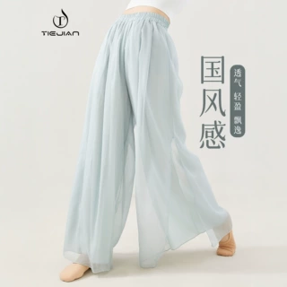 8117舞蹈服女现代形体练功宽松阔腿双层网纱飘逸成人中国跳舞裤子