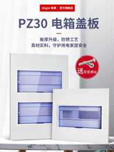 pz30配電箱蓋板庭開關箱面板強電箱蓋用電表箱空開箱蓋子