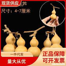 С���J��Ȼ���J��������С���J������J�[�����J����S��