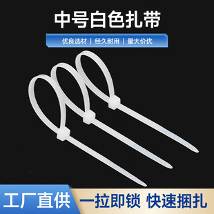 ��̖��ɫ���������S�����l ���i������ ���Qֱ����Ҏ��nylon ties