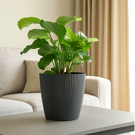 花盆容器;园艺护栏;园艺工具