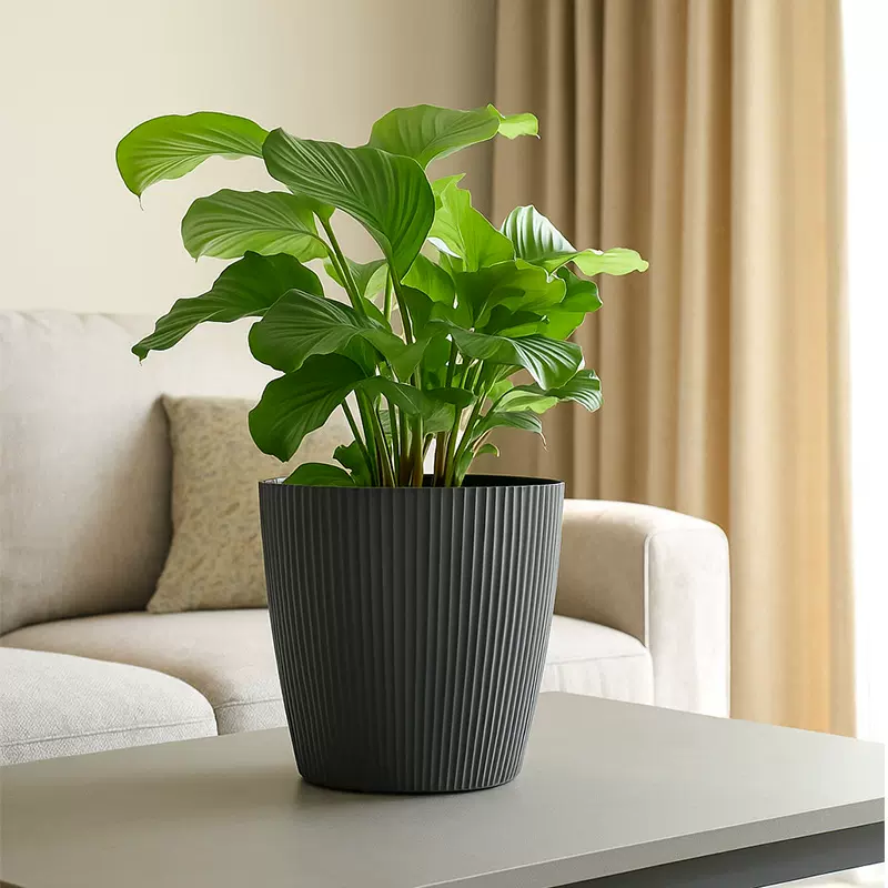 跨境专供桌面塑料花盆大口径简约加厚北欧多色绿萝种植花盆