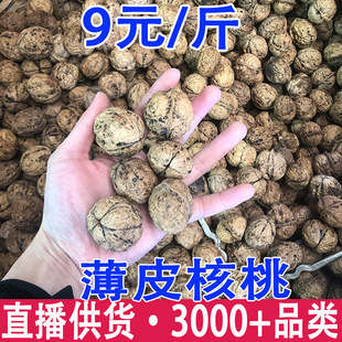 ��Ƥ���� ��ϴ�����娱�Ƥ���� ��Ƥ�������l���l