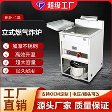 ����������ʽȼ��ը¯��������40L����220v��ը�����������С��