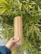 �հ�������Ƭ̼�����ݵ��߿��֌�������b[��