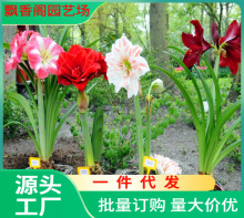 ���l��피t�N����ɏ���a�M���ذ��N���A���m����ɏ���󃞻�