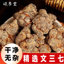 中药材云南文山三七精选三七头20头30头春三七个头饱满田七参