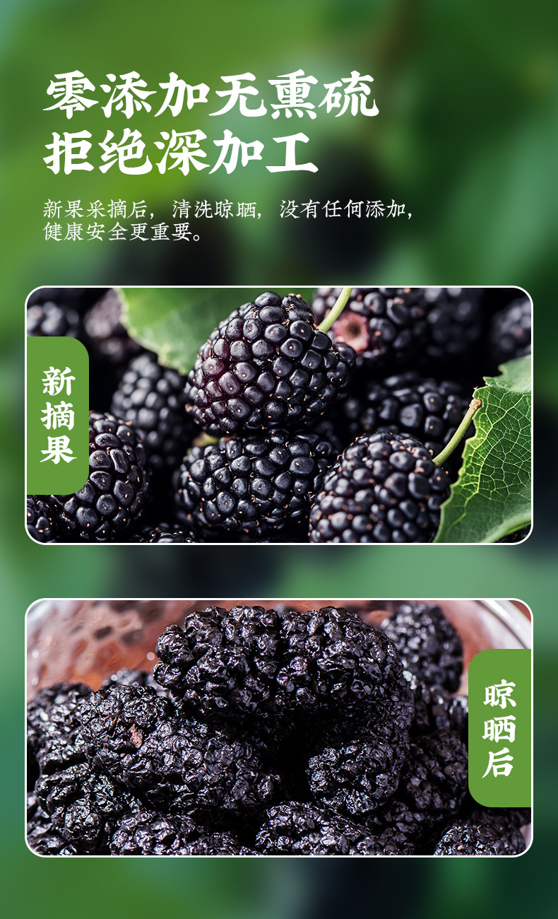 Dried Mulberry Fruit Sang Shen Zi Large Berries Natural Snack and Herbal Tea Ingredient 500g Bag quality and texture