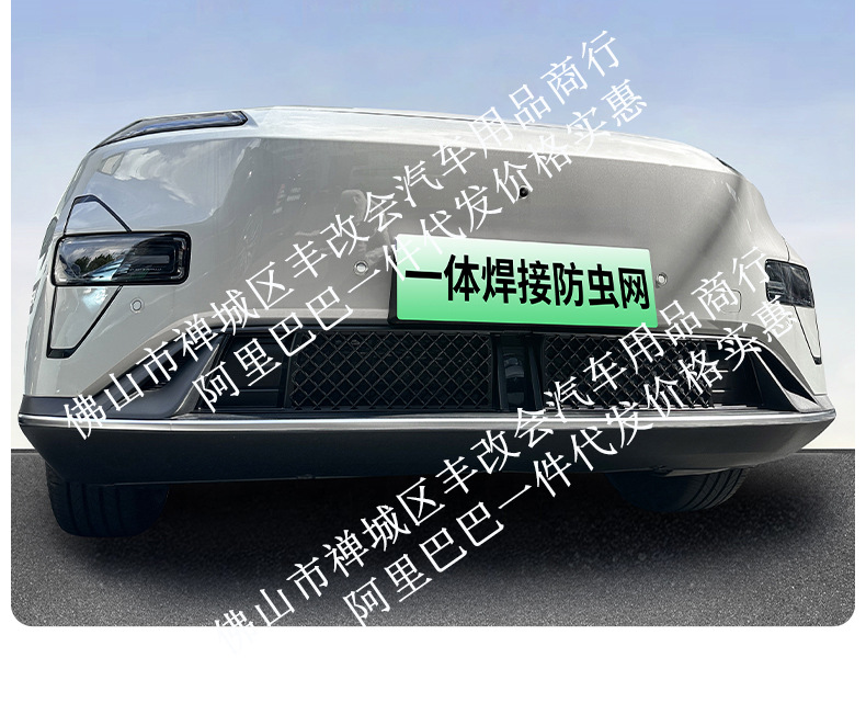 Suitable for Deep Blue S05 Integrated Welded Car Insect-Proof Net Front Grille Special Modified Decorative Strip Car Accessories